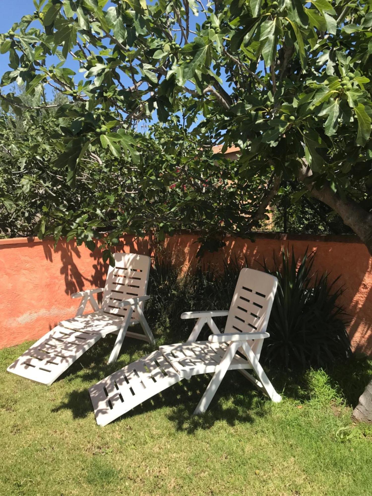 B&B Da Tizy San Teodoro  Ngoại thất bức ảnh